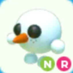 NR Snowball