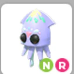 NR Squid