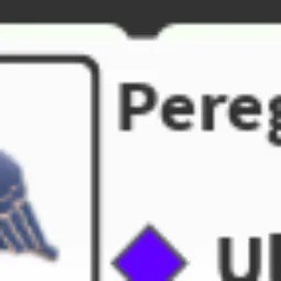 N Peregrine Falcon