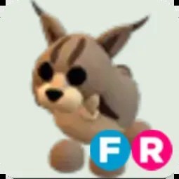 Lynx FR