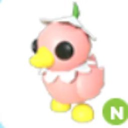 N Flower Power Duckling