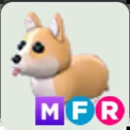 Corgi MFR