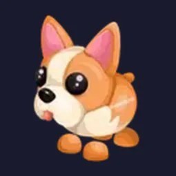 R French Bulldog