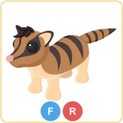 FR Banded Palm Civet