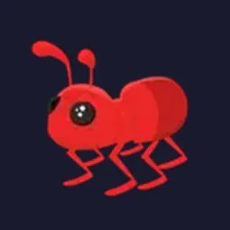 MFR Ant