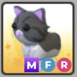 Persian Cat MFR