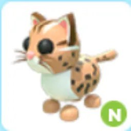 N Leopard Cat
