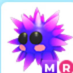 MR Urchin