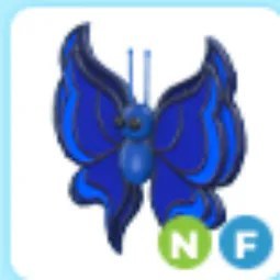 Blue Butterfly NF