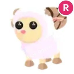 Ram R