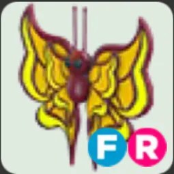 Amber Butterfly FR