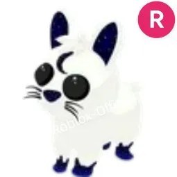 Moon Rabbit R