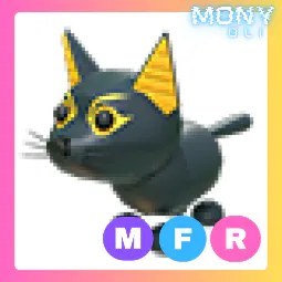 MFR Abyssinian Cat