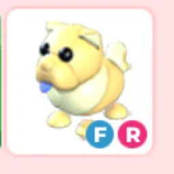 FR Golden Chow