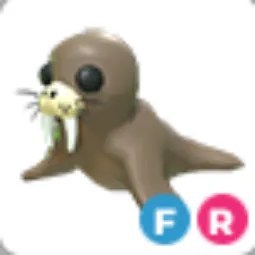 FR Walrus
