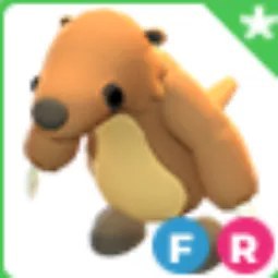 FR Ground Sloth