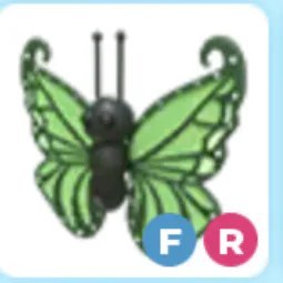FR Green Butterfly Adm