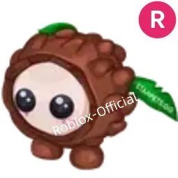 Coconut Friend R