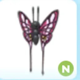 N 2022 Uplift Butterfly Adm