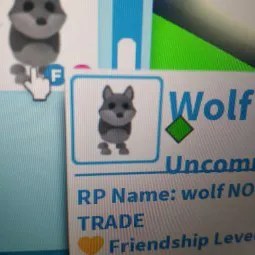 Wolf FR