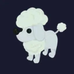 MFR Poodle
