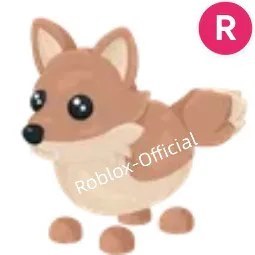 Coyote R