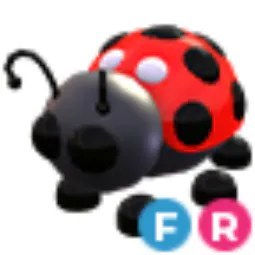 Ladybug FR