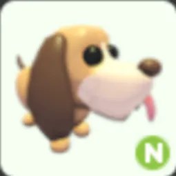 N Bloodhound Neon