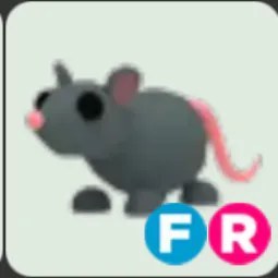 Rat FR