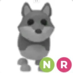 NR Wolf
