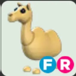 Camel FR