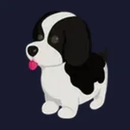 R Black Springer Spaniel