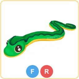 FR Garden Snake