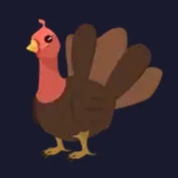 Turkey