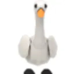 Swan lAdopt Mel