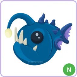 N Angler Fish
