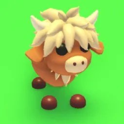 Highland Cow