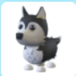 Husky