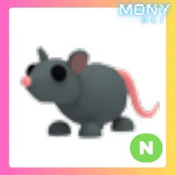 N Rat