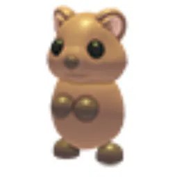 Quokka