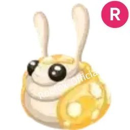 Hopbop R