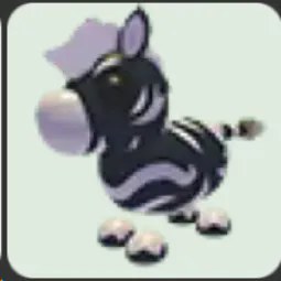 Ash Zebra