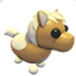 Shetland Pony Light Brown