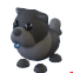 Black Chow
