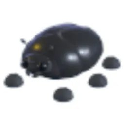 Giant Black Scarab