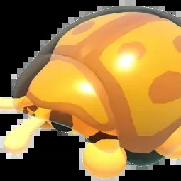 Golden Tortoise Beetle