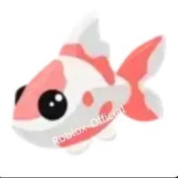 Koi Carp