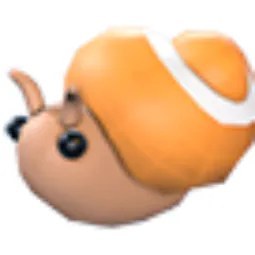 Trapdoor Snail