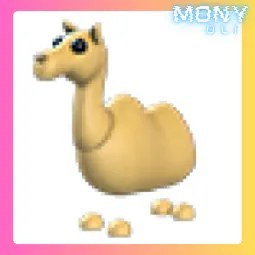 Camel