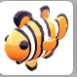Clownfish